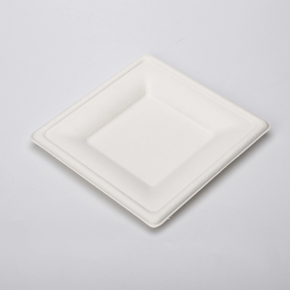 Square Round Oval Dinner Cake Sushi Food Sugarcane Bagasse Biodegradable Compostable Disposable Paper Plates