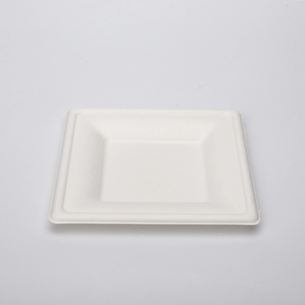 Square Round Oval Dinner Cake Sushi Food Sugarcane Bagasse Biodegradable Compostable Disposable Paper Plates