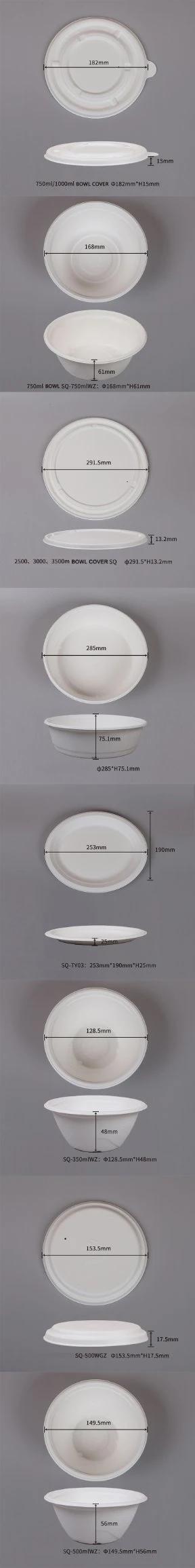 Disposable Food Containers Biodegradable Tableware Food Plate Sugarcane Bagasse Bowl