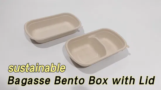 Conteneur alimentaire compostable de haute qualité, boîte à déjeuner en canne à sucre, boîtes de rangement et bacs en bambou écologiques