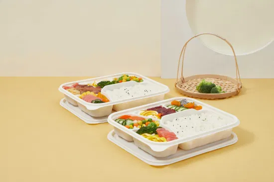 Conteneur alimentaire jetable en gros de fécule de maïs surgarcane stockage de bagasse Bento biodégradable à emporter boîte à lunch rapide avec couvercle